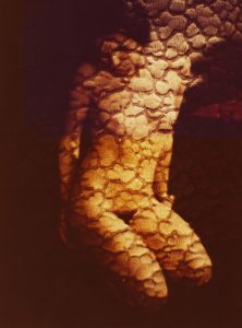 Osvaldo Sponzilli Photograpy