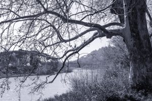 Osvaldo Sponzilli Photography
